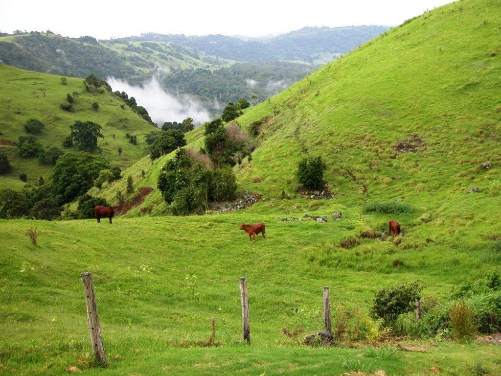 Top Of The Hill Maleny Exterior foto