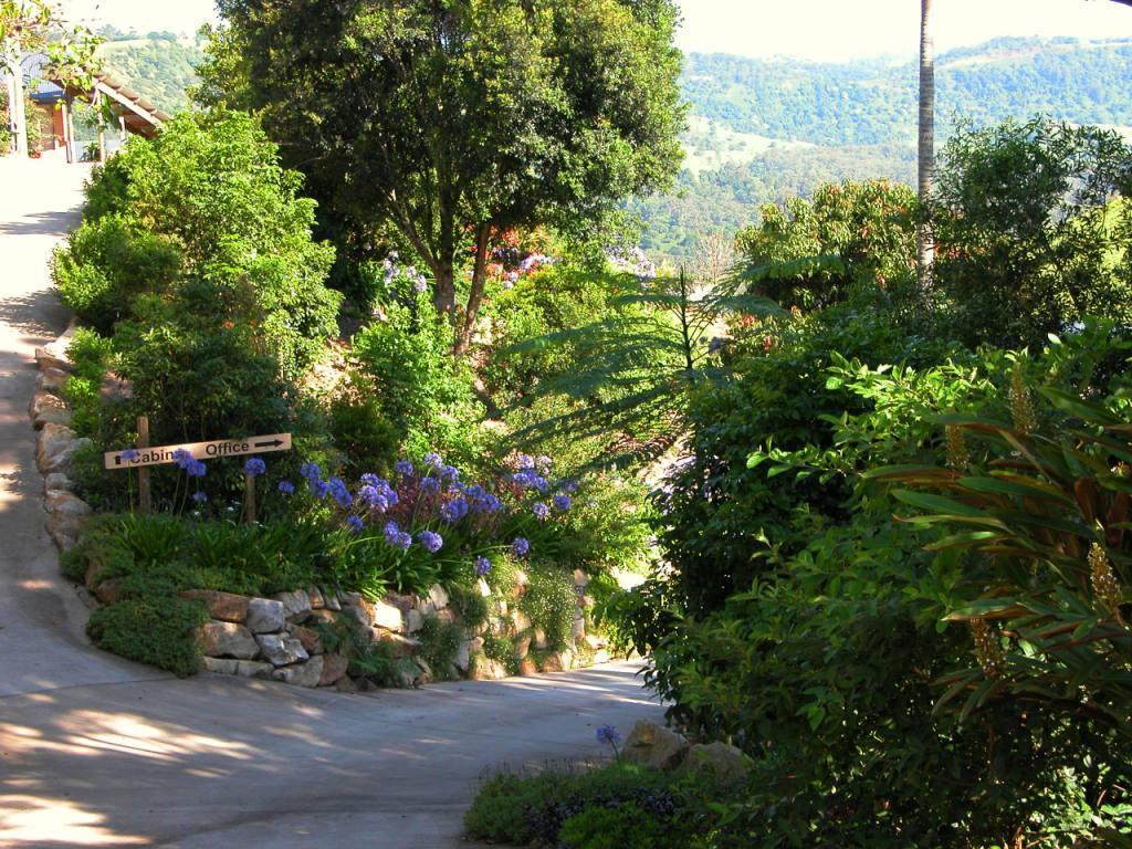 Top Of The Hill Maleny Exterior foto